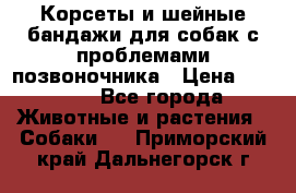Корсеты и шейные бандажи для собак с проблемами позвоночника › Цена ­ 2 500 - Все города Животные и растения » Собаки   . Приморский край,Дальнегорск г.